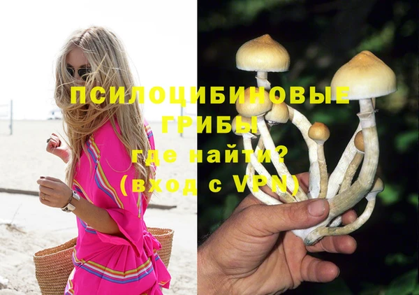 хмурый Балабаново